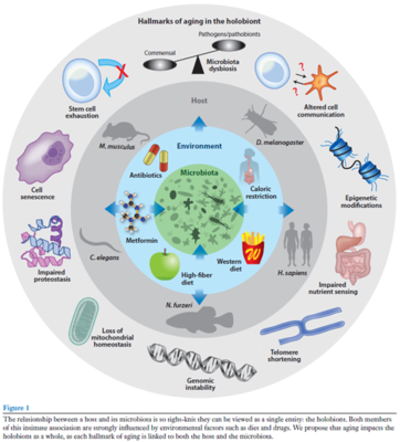 學(xué)術(shù)沙龍聚焦益生菌研究新進(jìn)展，完美生科院探索生物產(chǎn)品研發(fā)新思路