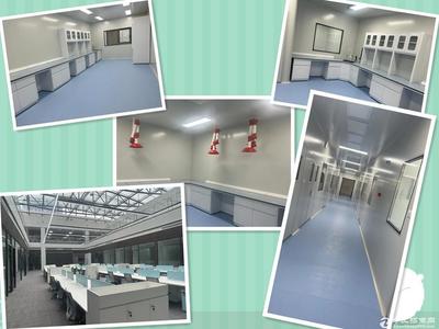 江蘇二樓以上廠房招商 生物產(chǎn)品研發(fā)的理想選擇